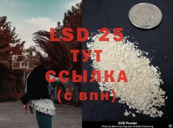 ALPHA PVP Беломорск