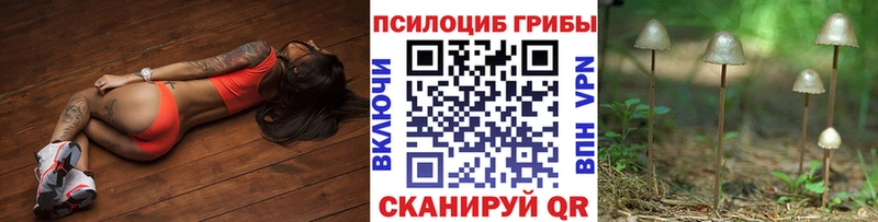 Псилоцибиновые грибы Magic Shrooms  как найти закладки  МЕГА сайт  Котельниково 